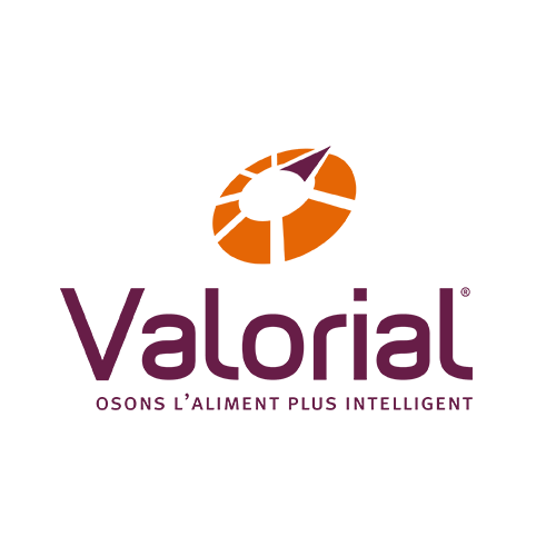 logo_valorial-2017