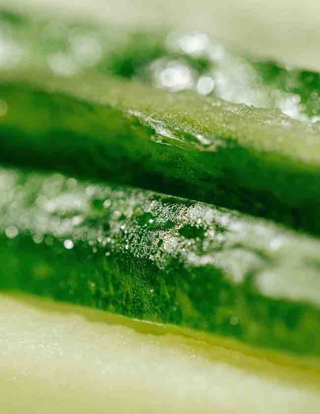 algues coproduits act food
