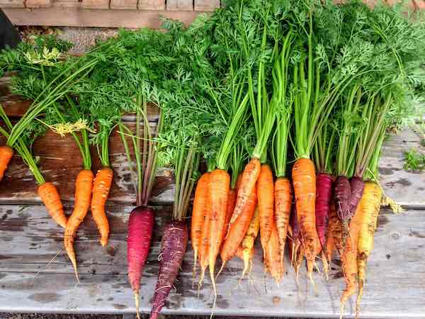 des légumes de qualité