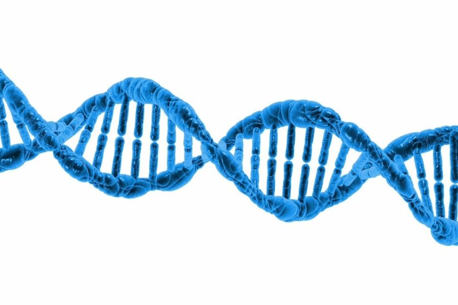 protein et process industriel