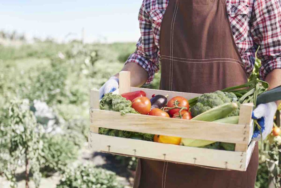 agriculture bretonne