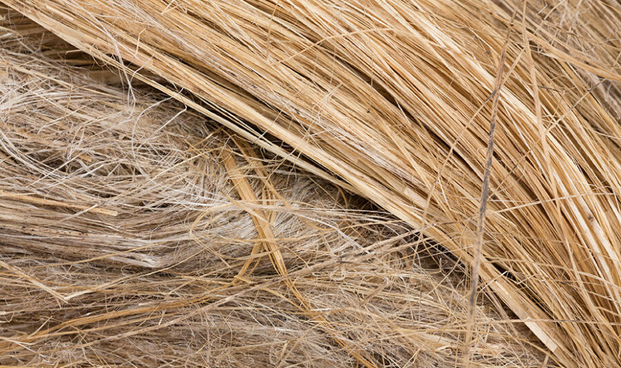 raw flax fiber