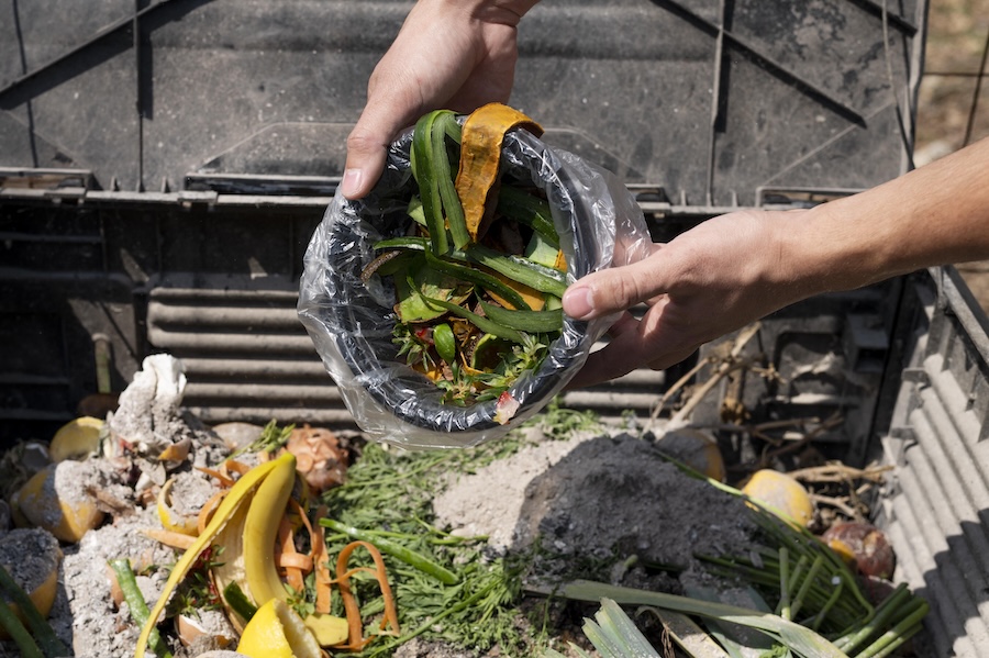 dechets alimentaires